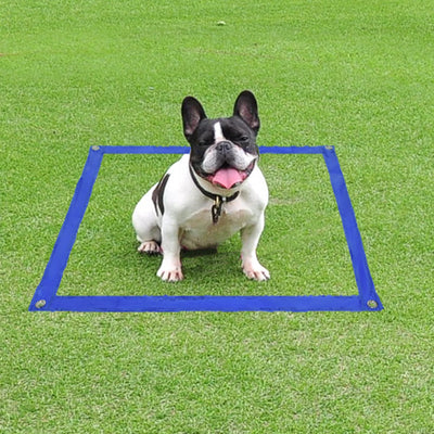 Set d'Obstacles Agility avec Tunnel Pliable pour Chien