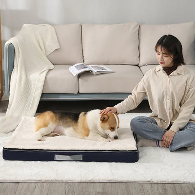 Panier Orthopédique pour Chien Mousse à Mémoire de Forme