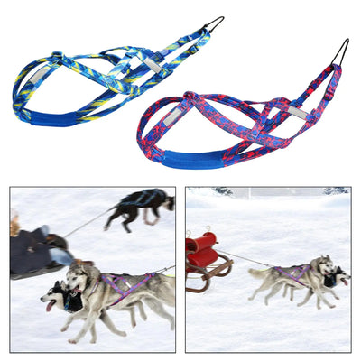 Harnais de Traction Professionnel X-Back Traîneau et Course
