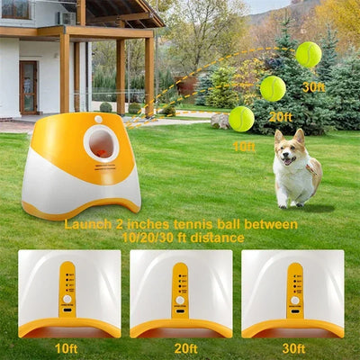 Lanceur de Balle de Tennis Chien Capteur de Mouvement Rechargeable