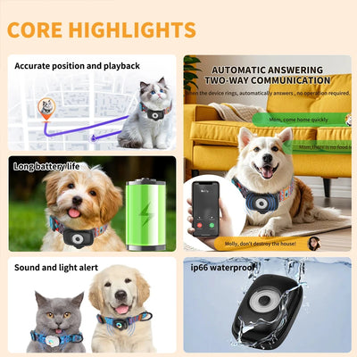 Collier GPS Chien 4G Alarme Anti-Perte Carte 1 An