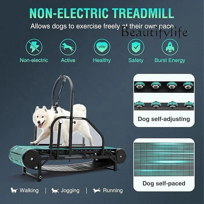 Tapis Course Canin Pro Gros Chien