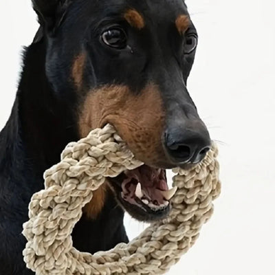 Jouet Corde pour Chien à Mâcher et à Tirer