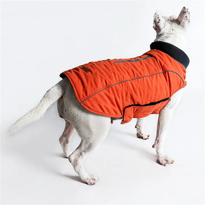 Manteau Hiver Réfléchissant Bull Terrier Six Coloris XS-3XL