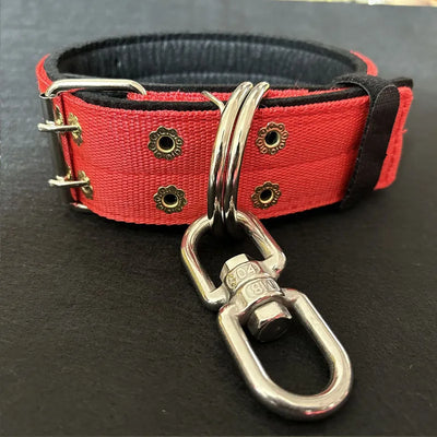 Collier Rembourré Anti-Torsion Anneau Pivotant Grand Chien