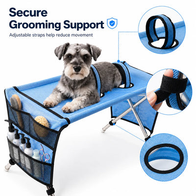 Table de Toilettage Portable Petit Chien et Chat