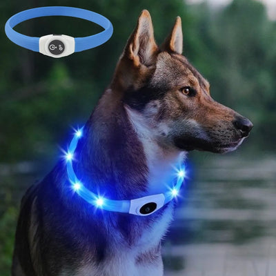 Collier LED Étanche Grand Chien