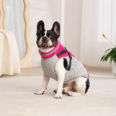 Manteau d'Hiver Chien Harnais Intégré Toutes Tailles