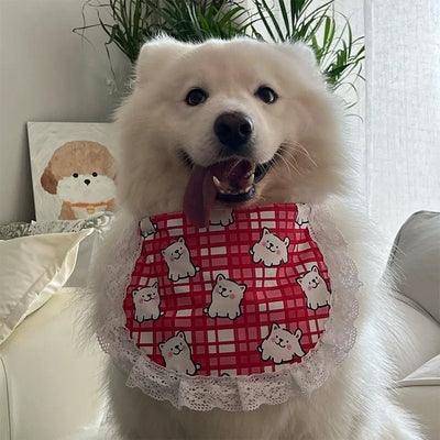 Bandana Chien Vichy Dentelle Grand Foulard