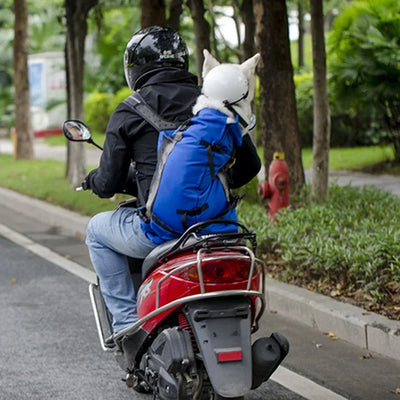 Sac à Dos de Transport Chien Réglable jusqu'à 28 kg