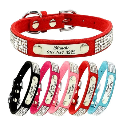 Medaille Acier Inoxydable Gravee Nom et Telephone Chien