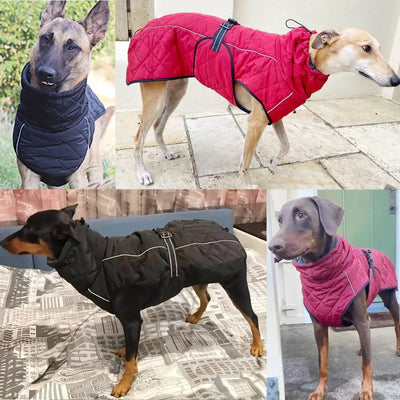 Manteau Imperméable Réfléchissant à Col Montant pour Chien