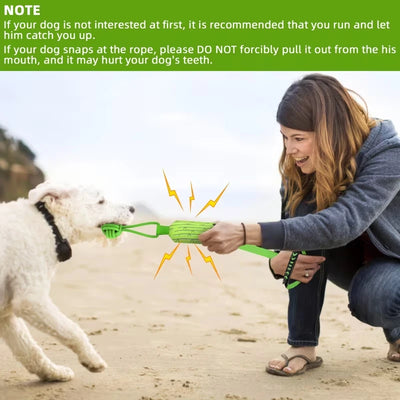 Jouet de Traction Élastique pour Chien Cactus 82 cm