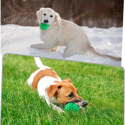 Jouet Indestructible Balle Couineuse Alvéolée à Mâcher 5,5 cm