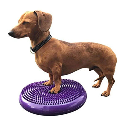 Disque d'Équilibre Gonflable pour Chien Agility 36 cm