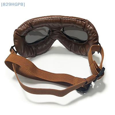 Lunettes Protection UV Gros Chien Sangles Réglables