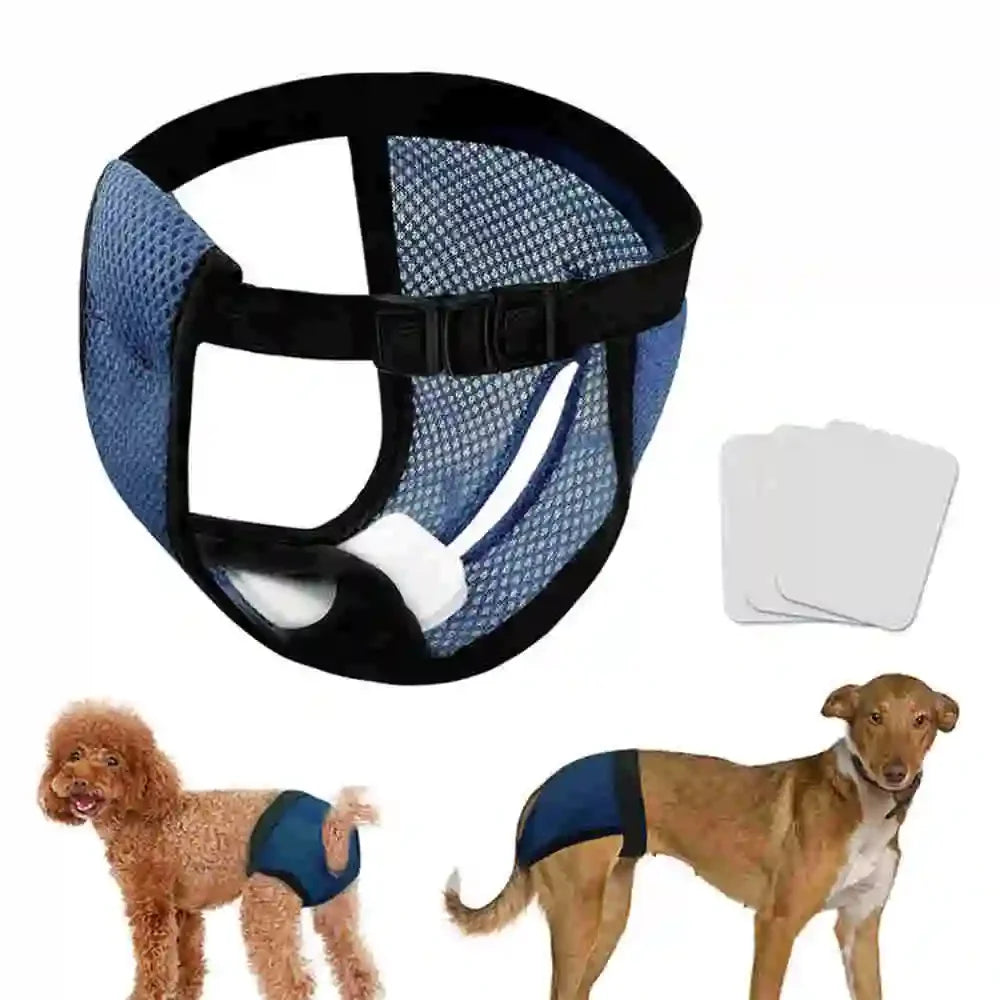 Culotte Hygiénique Chien Lavable avec 3 Coussinets jusqu'à 59 cm