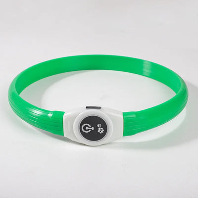 Collier LED Étanche Grand Chien