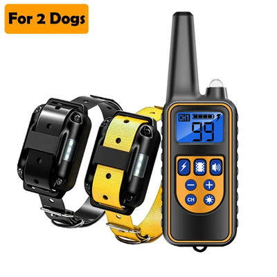 Collier Dressage LCD 800m Étanche Gros Chien