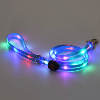 Collier et Laisse LED Lumineux pour Chien