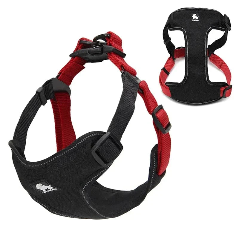 https://cdn.shopify.com/s/files/1/0489/2898/1148/files/S5562a4c50c634a1ba4383e56040c5e11s.webp?v=1742985824