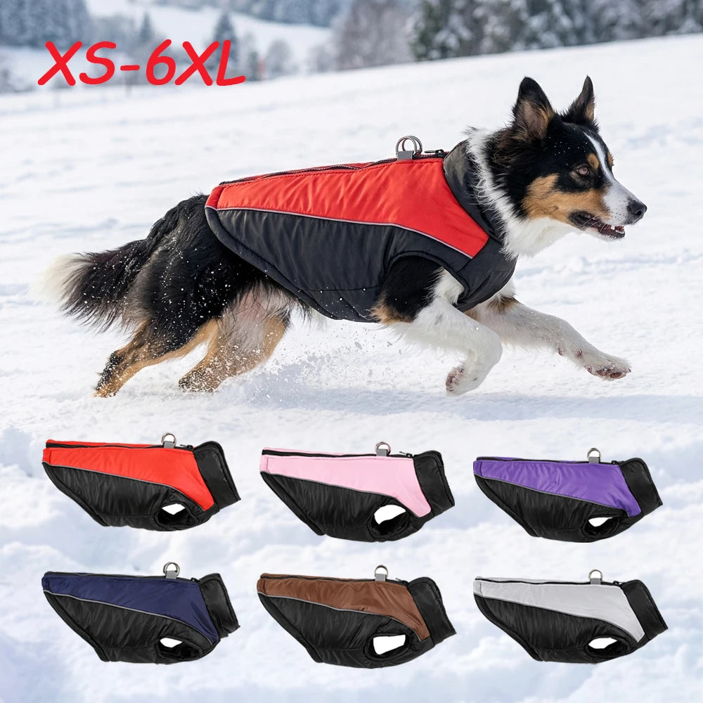 Manteau d'Hiver Chaud pour Chien Berger Allemand