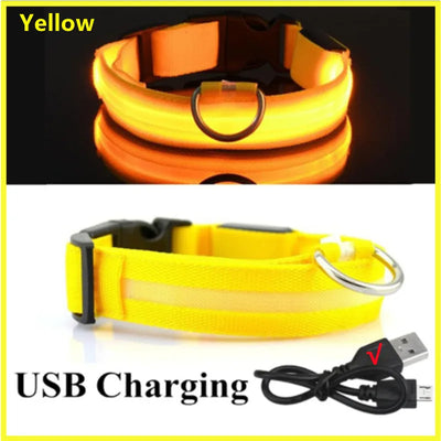 Collier Lumineux LED Rechargeable USB Nylon Grand Chien