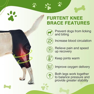 Attelle pour Chien Genouillère Double Pattes Arrière Réglable