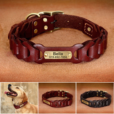 Collier Cuir Personnalisé Gravé Pitbull