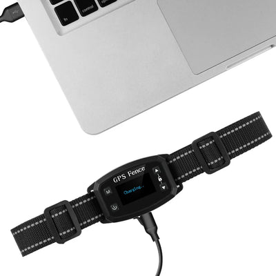 Clôture GPS Anti-Fugue OLED Gros Chien