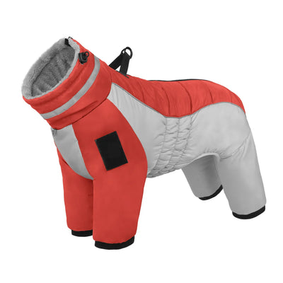 Manteau Hiver Grande Taille Chien Bordure Fourrure