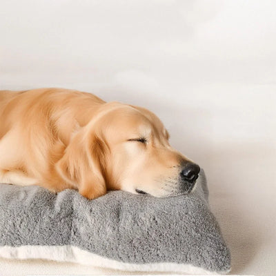 Matelas pour Chien Moelleux Ultra Doux Grande Taille