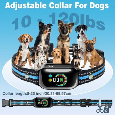 Collier Dressage Sans Choc Gros Chien IPX7