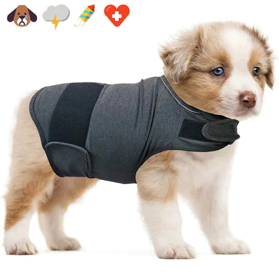 Vêtement Apaisant Anti-Anxiété Respirant Chien Orage 40 kg