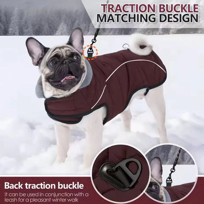 Manteau Imperméable Réfléchissant à Bande Scratch pour Labrador