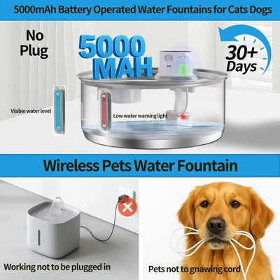 Fontaine à Eau sans Fil 8 L sur Batterie Gros Chien