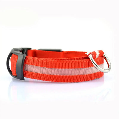 Collier LED Veilleuse Rechargeable pour Chien