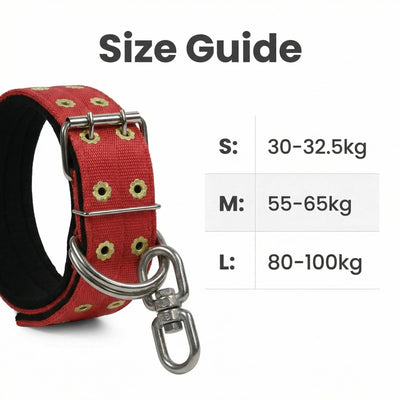 Collier Anti-Évasion Double Boucle Nylon Gros Chien