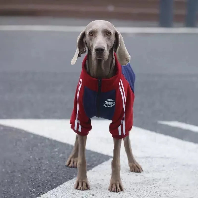 Manteau Polaire Zippé Chaud pour Grand Chien