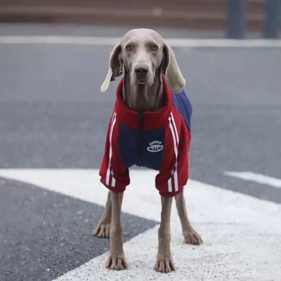 Manteau Polaire Zippé Chaud pour Grand Chien