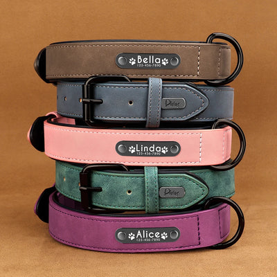 Collier Cuir Personnalisé Plaque Gravée Grand Chien