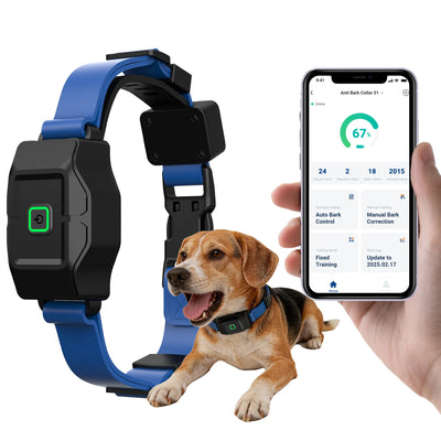 Clôture Électronique Sans Fil pour Chien GPS Zone par Appli
