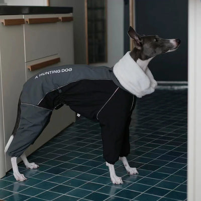 Combinaison Imperméable 4 Pattes Polaire pour Lévrier Italien