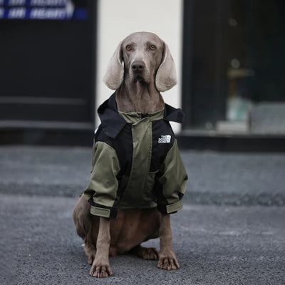 Manteau Imperméable à Capuche Zippé Gros Chien
