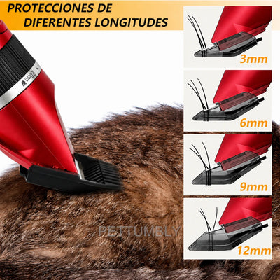 Tondeuse pour Chien Rechargeable Kit 4 Sabots et Accessoires