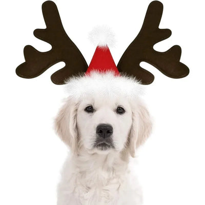 Accessoires de Noel pour Chien Renne