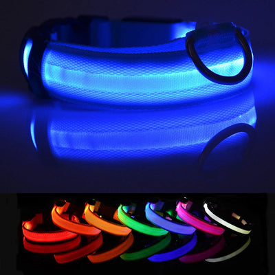 Collier LED Haute Visibilité Rechargeable Chien
