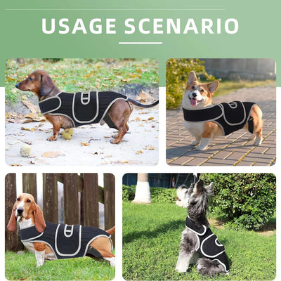 Attelle Dorsale Orthopédique Réglable pour Gros Chien
