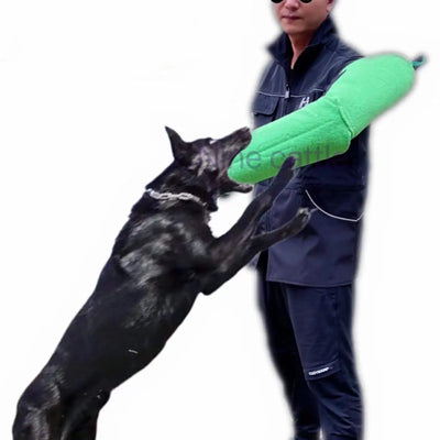 Manche Dressage Mordant Caché Gros Chien