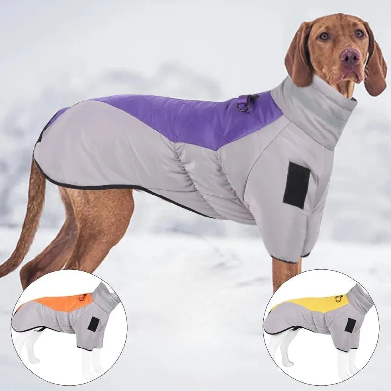 Manteau d'Hiver Matelassé Réfléchissant pour Chien Moyen et Grand